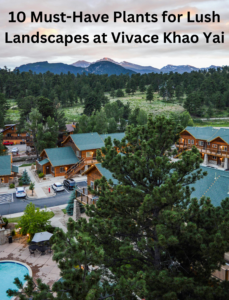 10 Must-Have Plants for Lush Landscapes at Vivace Khao Yai